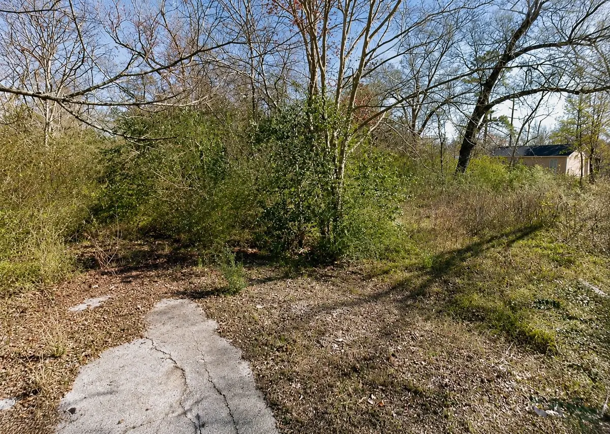 N/A Lorilee Street Street, Beaumont, TX 77708 - #1