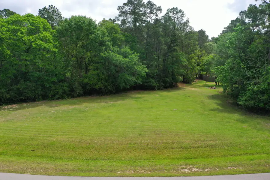 27010 Bridleway Circle, Magnolia, TX 77355 - #2