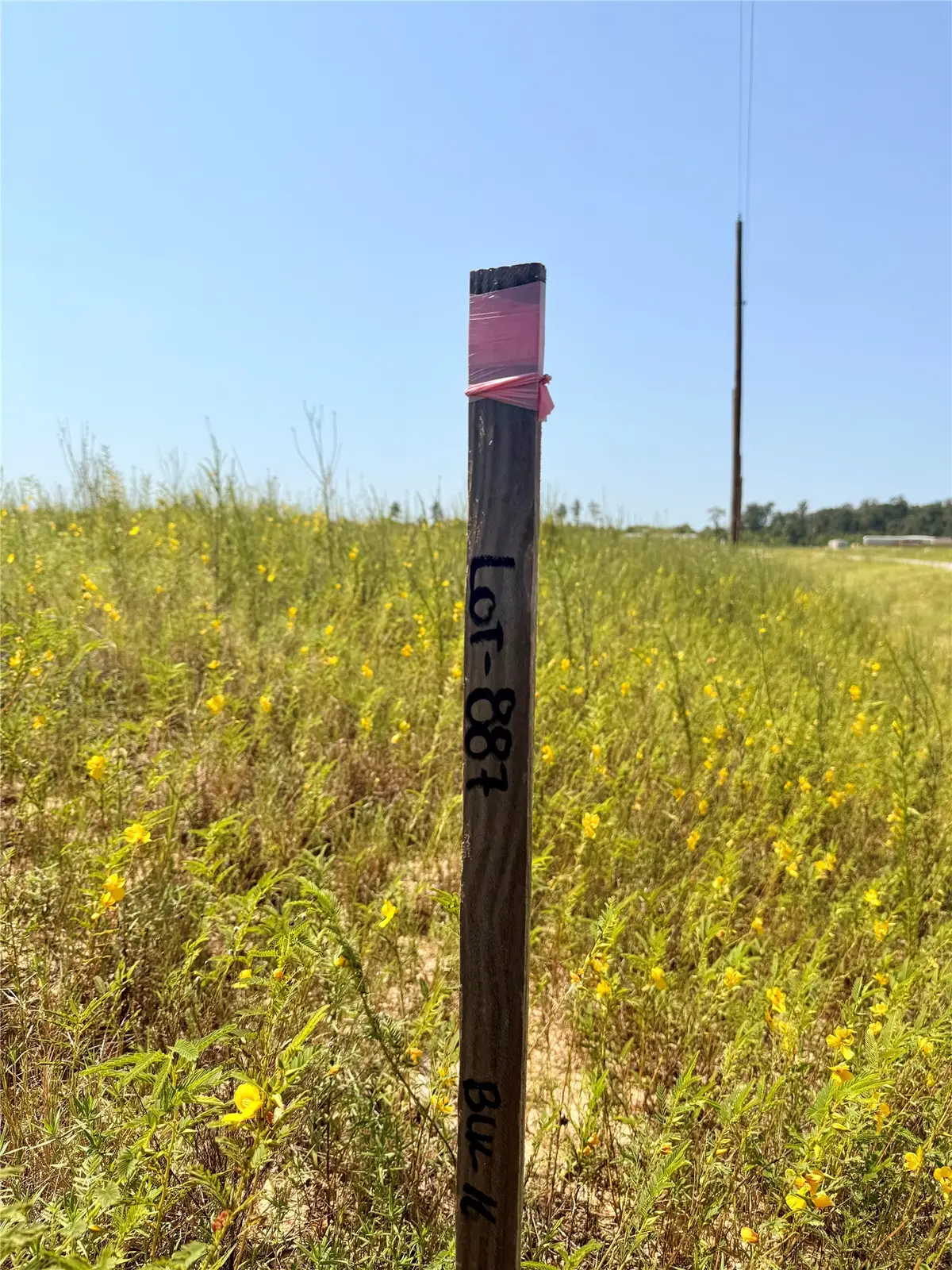 817 Road 591505, Cleveland, TX 77327 - #1