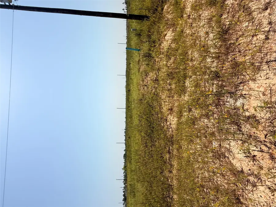 817 Road 591505, Cleveland, TX 77327 - #3