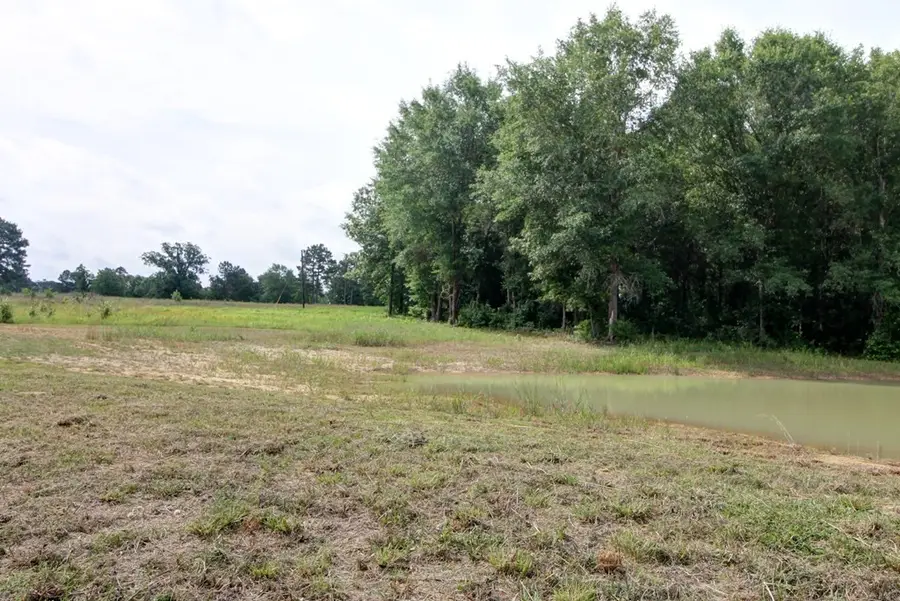 618 Cr 2619, Alto, TX 75925 - #3