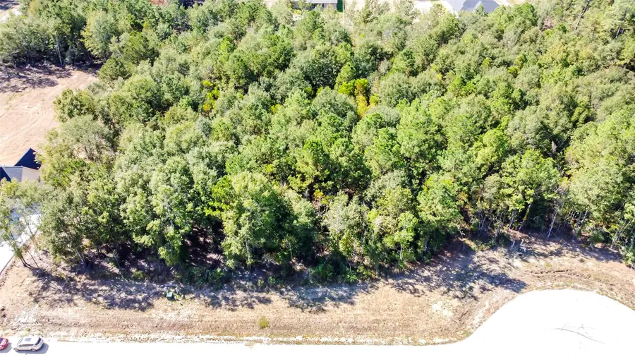 1723 Road 66118, Dayton, TX 77535 - Image #2