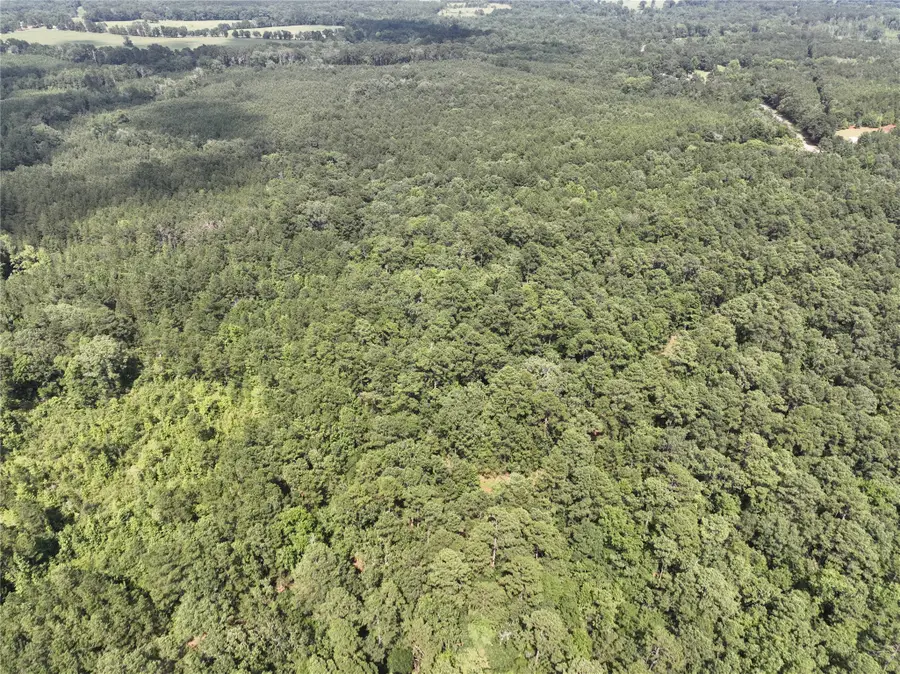 03 Off Highway 21, Geneva, TX 75959 - Image #2