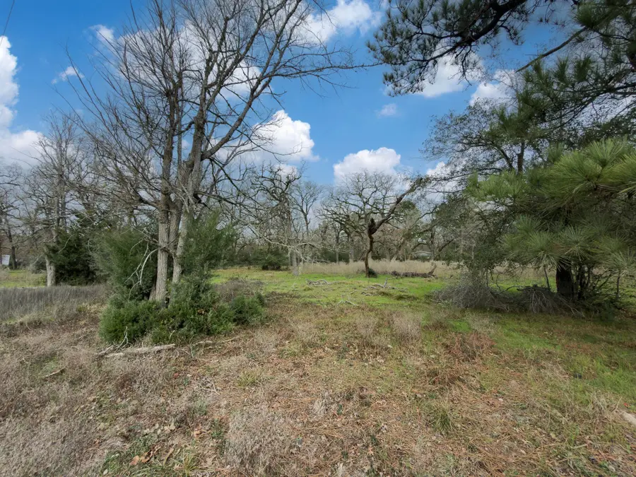 TBD Cr 151, Bedias, TX 77831 - Image #2