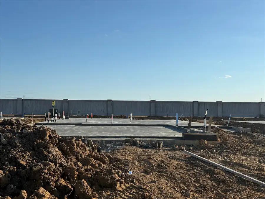 29135 Dandelion Sky Drive, Waller, TX 77484 - #2