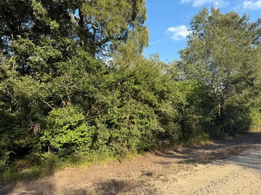 0 Laguna Vista Drive, Needville, TX 77461 - Image #3