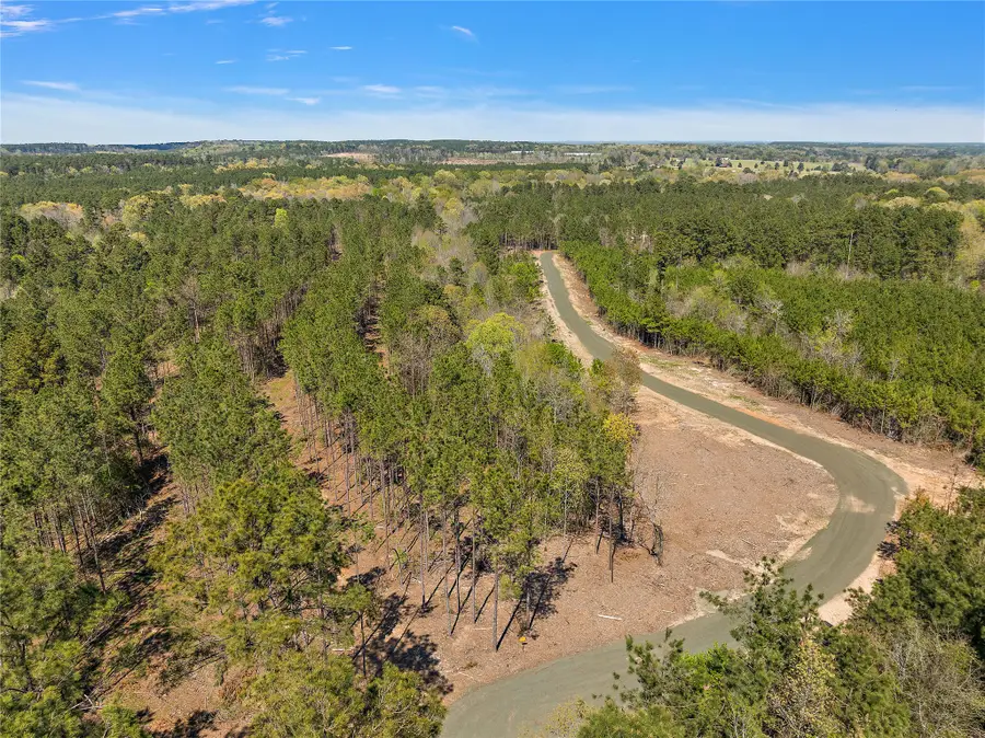 664 Piney Creek Estates Road, Timpson, TX 75975 - Image #3