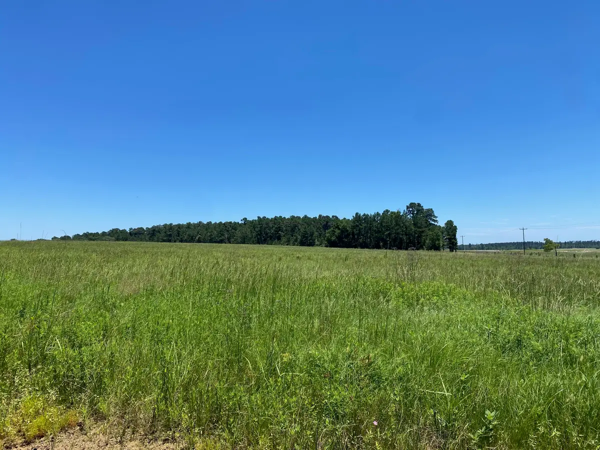 TBD Cr 4025, Crockett, TX 75835 - Image #1