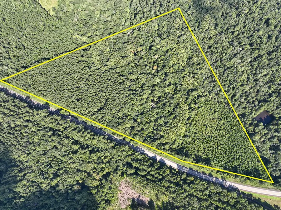 1 Highway 69, Hillister, TX 77624 - Image #2