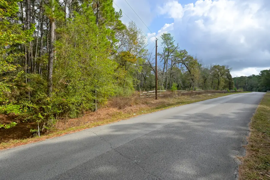 28016 Greenbriar Drive, Hockley, TX 77447 - Image #3