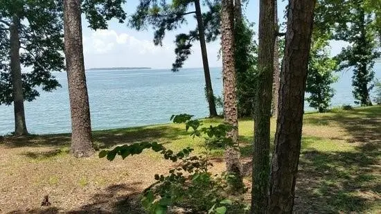 220 Lakeshore Point, Livingston, TX 77351