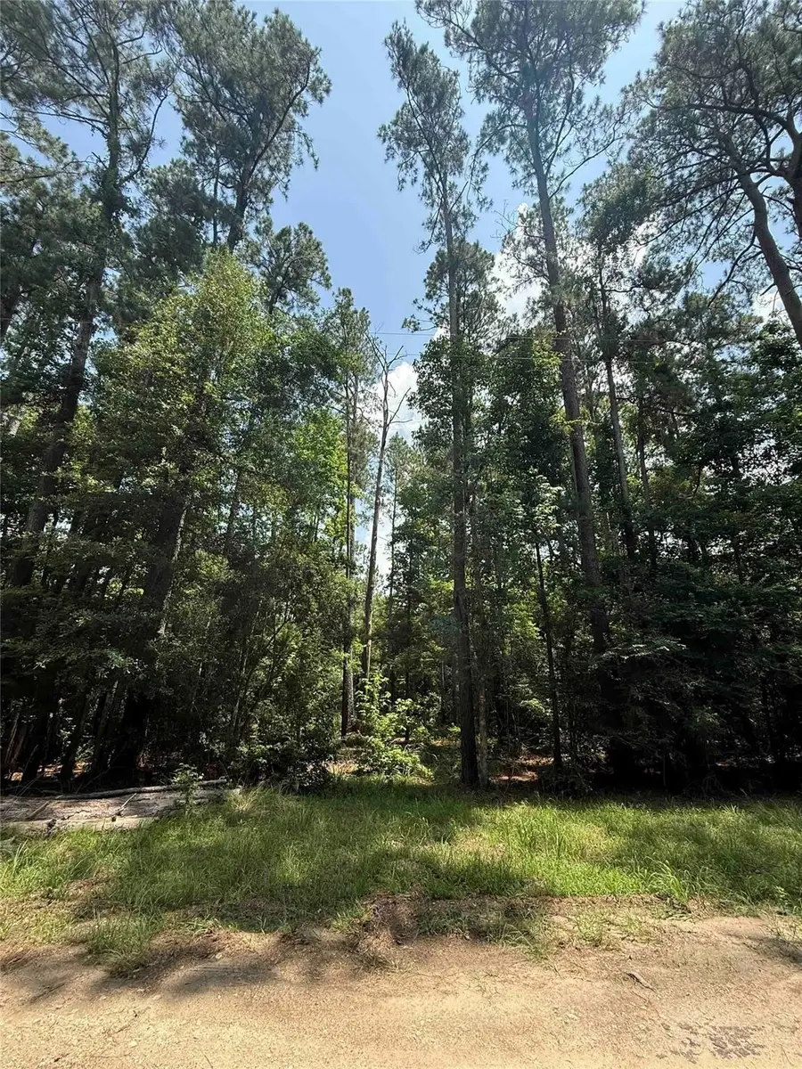 220 Lakeshore Point, Livingston, TX 77351 - #2