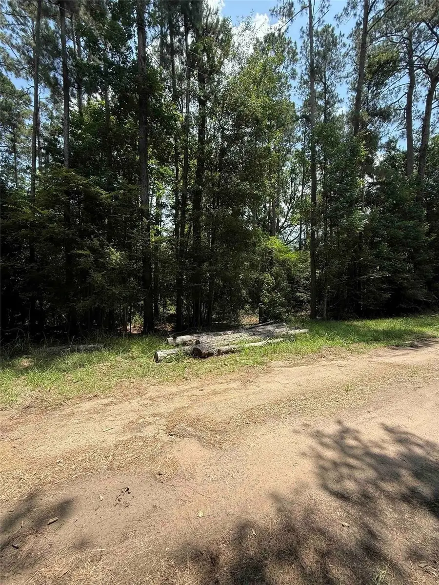 220 Lakeshore Point, Livingston, TX 77351 - #3