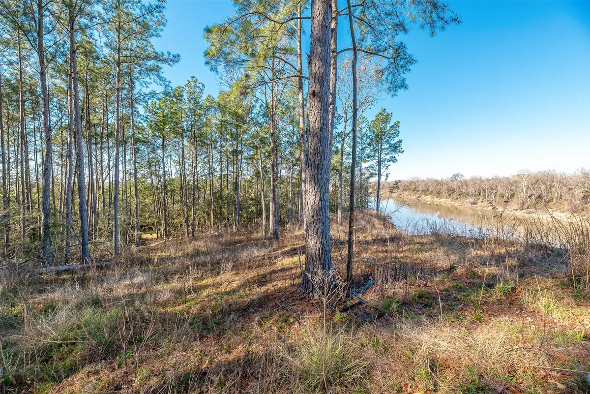 898 Taylor Lake Rd, Livingston, TX 77351 - #1