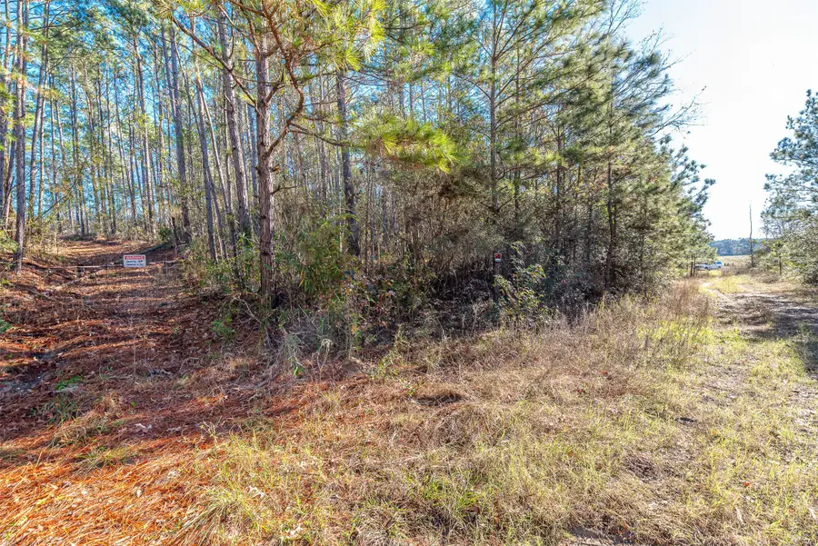 898 Taylor Lake Rd, Livingston, TX 77351 - #3