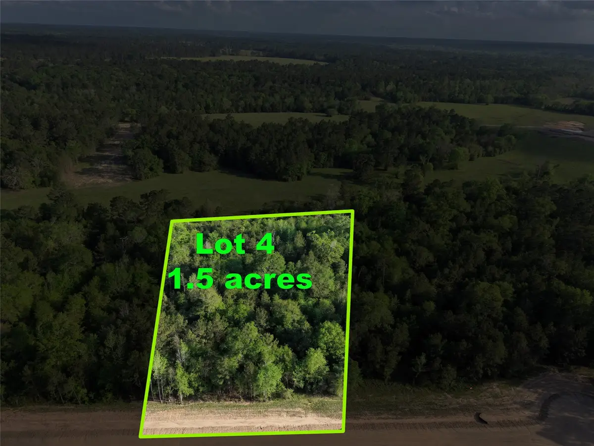 175 Remington Court, Coldspring, TX 77331 - #1