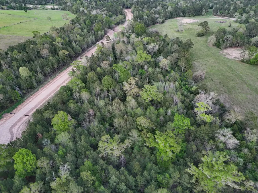 175 Remington Court, Coldspring, TX 77331 - #2