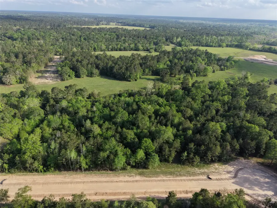 175 Remington Court, Coldspring, TX 77331 - #3