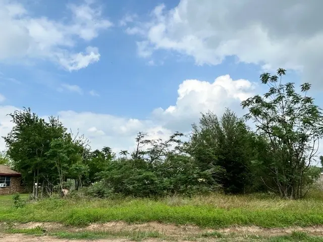 150 Saint Barbe Street, Hempstead, TX 77445 - #1