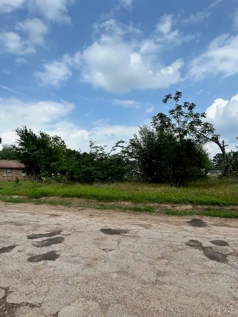 150 Saint Barbe Street, Hempstead, TX 77445 - #3