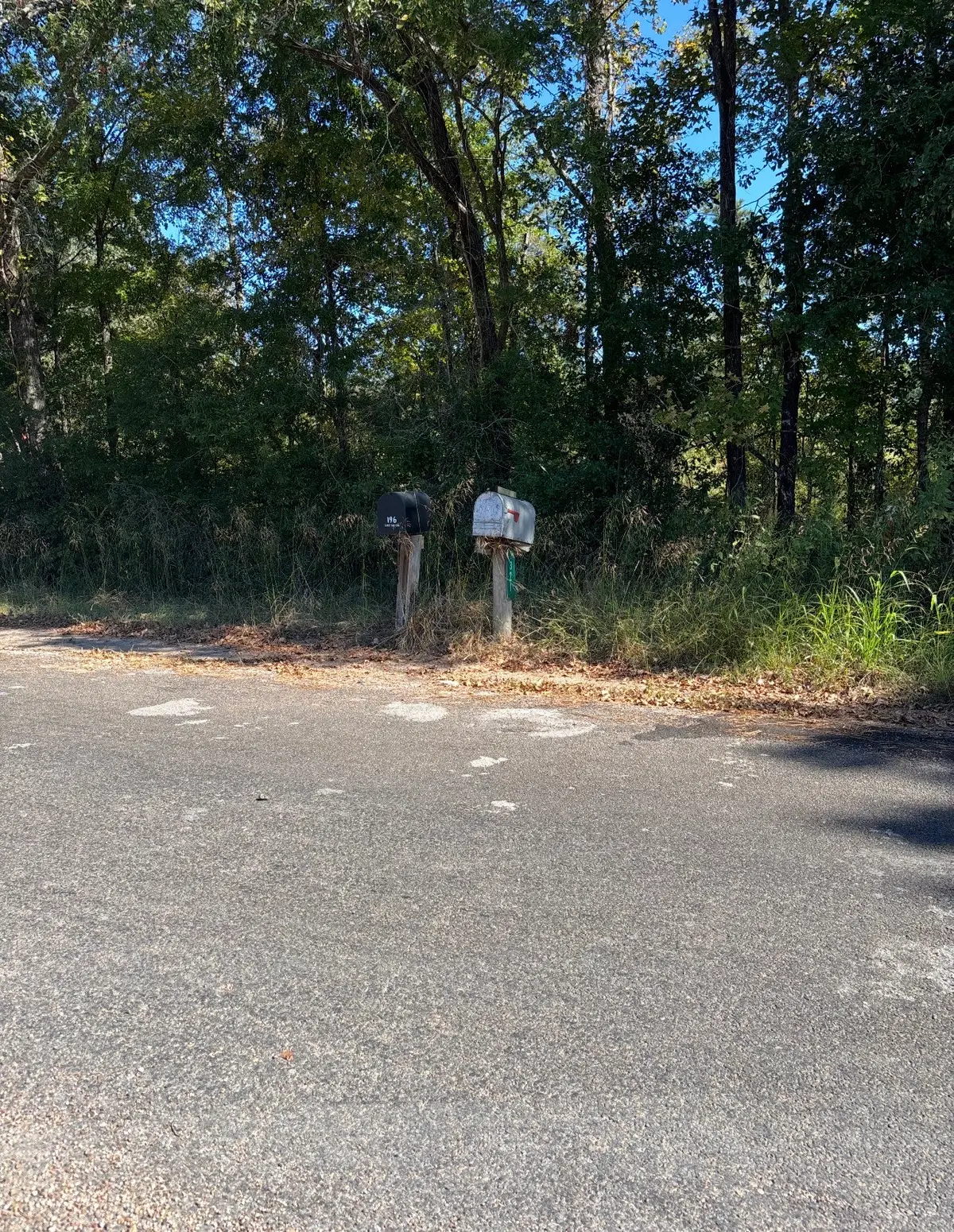 0 Old Highway 35 N, Livingston, TX 77351 - #1