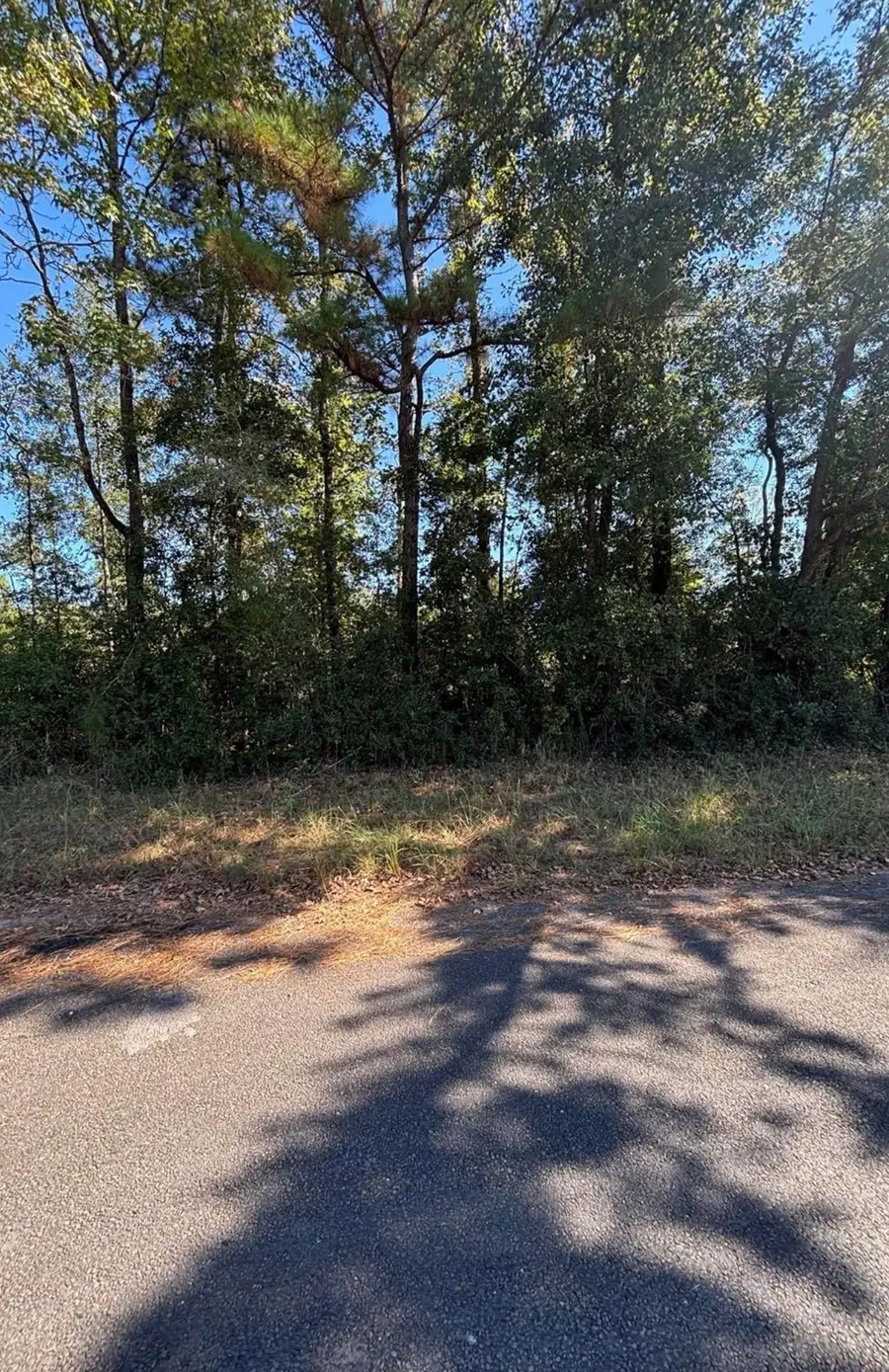 0 Old Highway 35 N, Livingston, TX 77351 - #2
