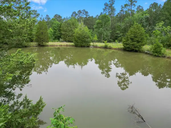 TBD Sharp Lane, Coldspring, TX 77331