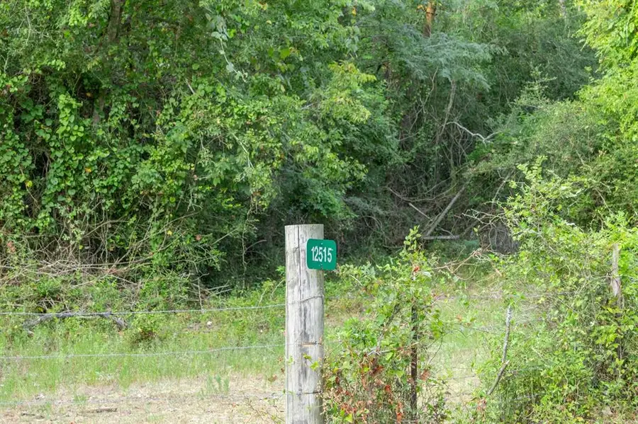 12515 Whitman Road, Washington, TX 77880 - Image #3