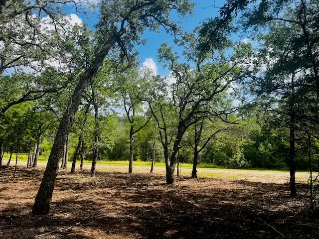 TBD Big Creek Forest Drive, Somerville, TX 77879 - Image #2