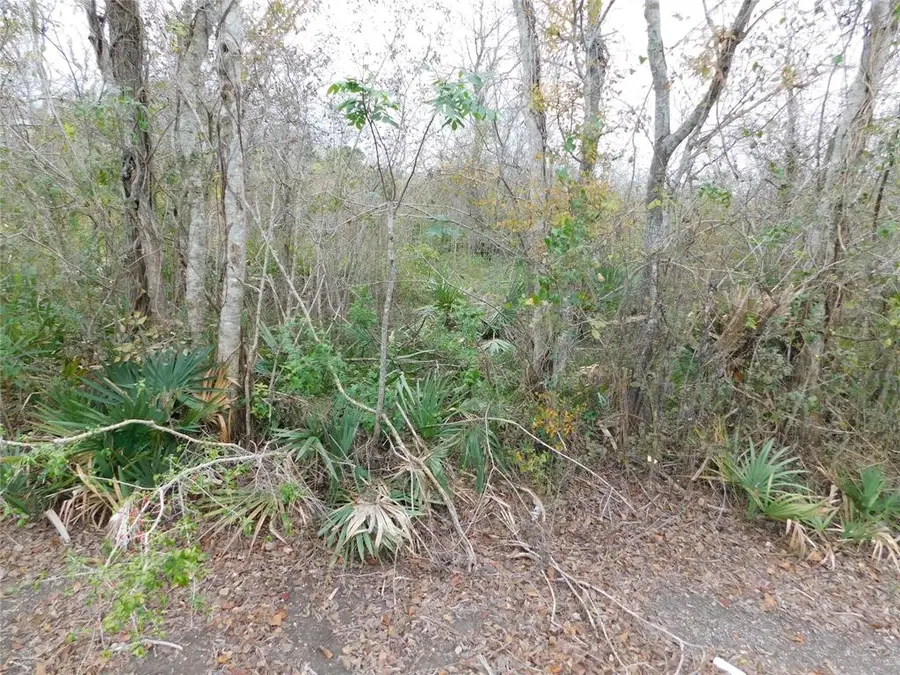 316 & 627 County Road, Brazoria, TX 77422 - Image #2