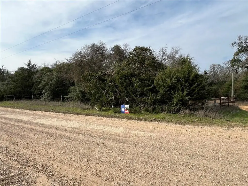 TBD County Road 373, Caldwell, TX 77836 - #1
