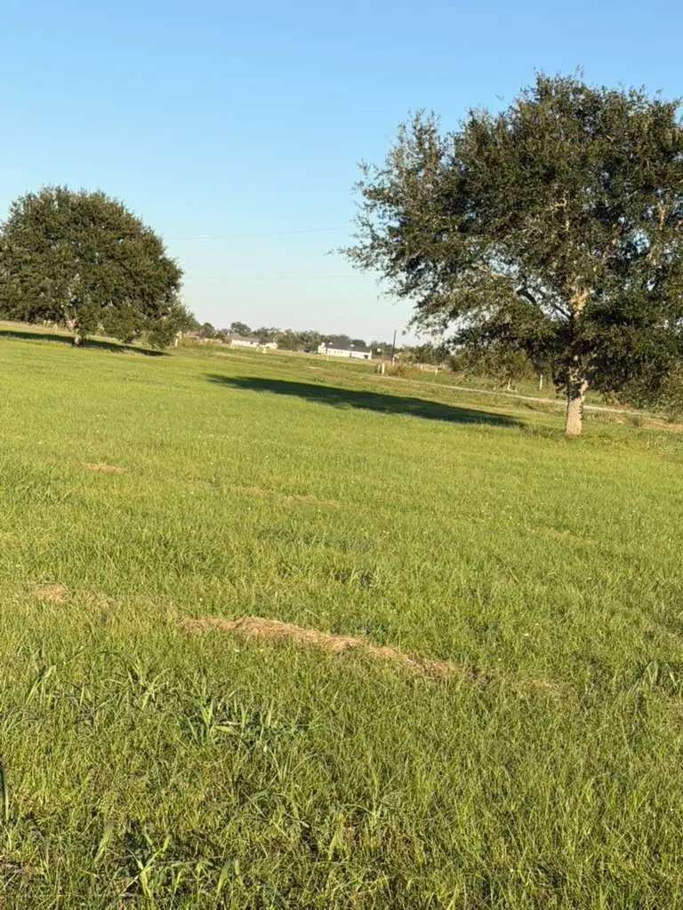 16318 Deerhaven Run, Rosharon, TX 77583 - #1