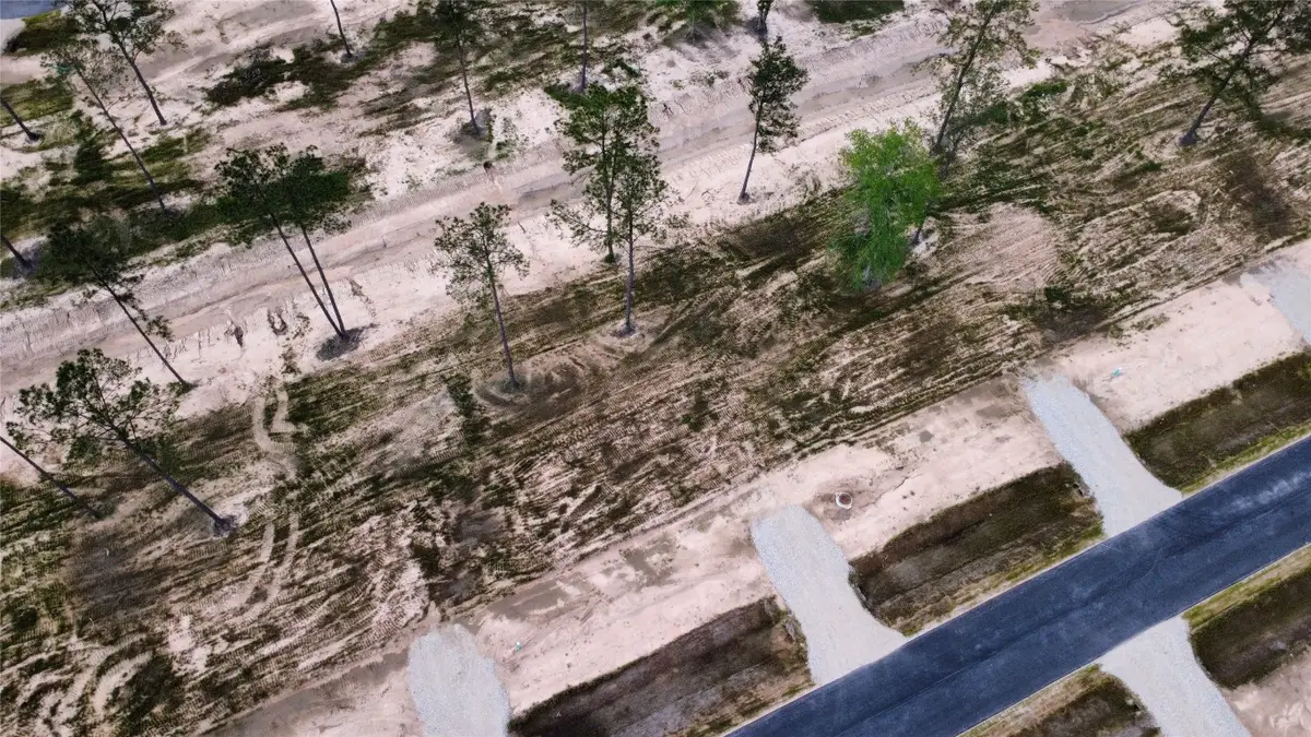 18278 Bunsen Drive, Conroe, TX 77306 - #1