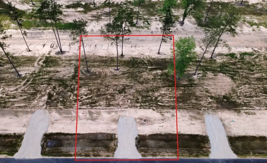 18278 Bunsen Drive, Conroe, TX 77306 - #2