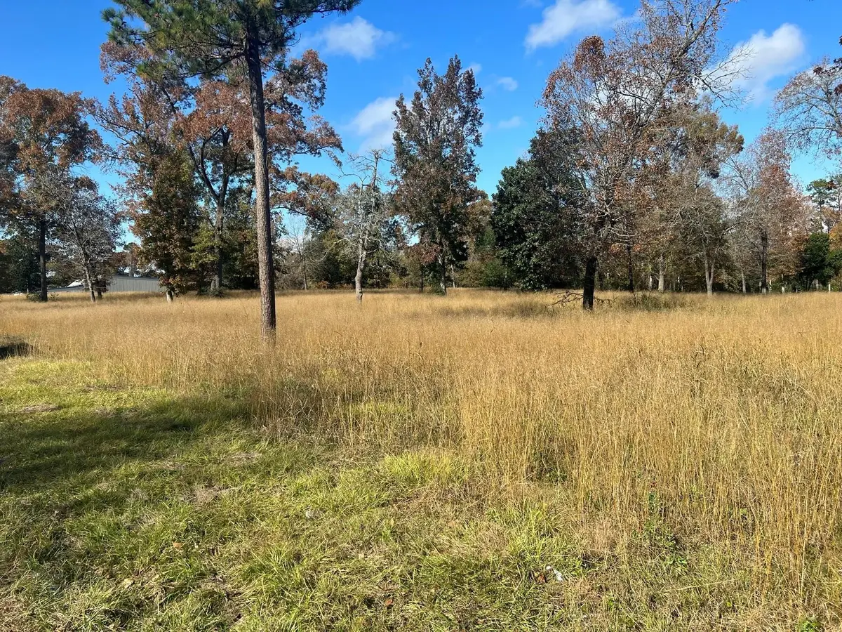 TBD S Houston Avenue, Livingston, TX 77351 - Image #1