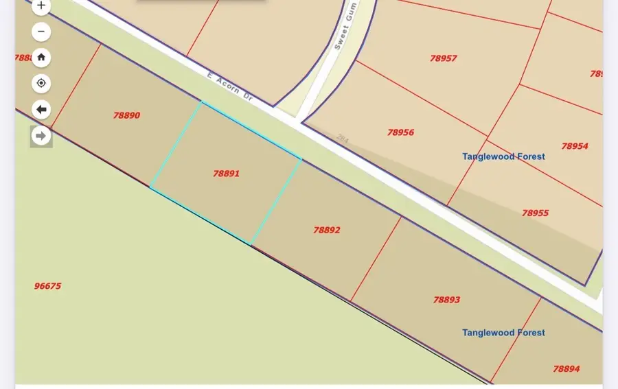 0 E Acorn Drive, Oakhurst, TX 77359 - #3