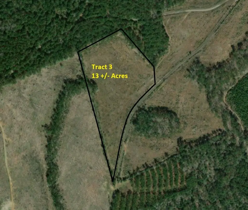 Tract 3 Cr 255, San Augustine, TX 75972 - Image #1