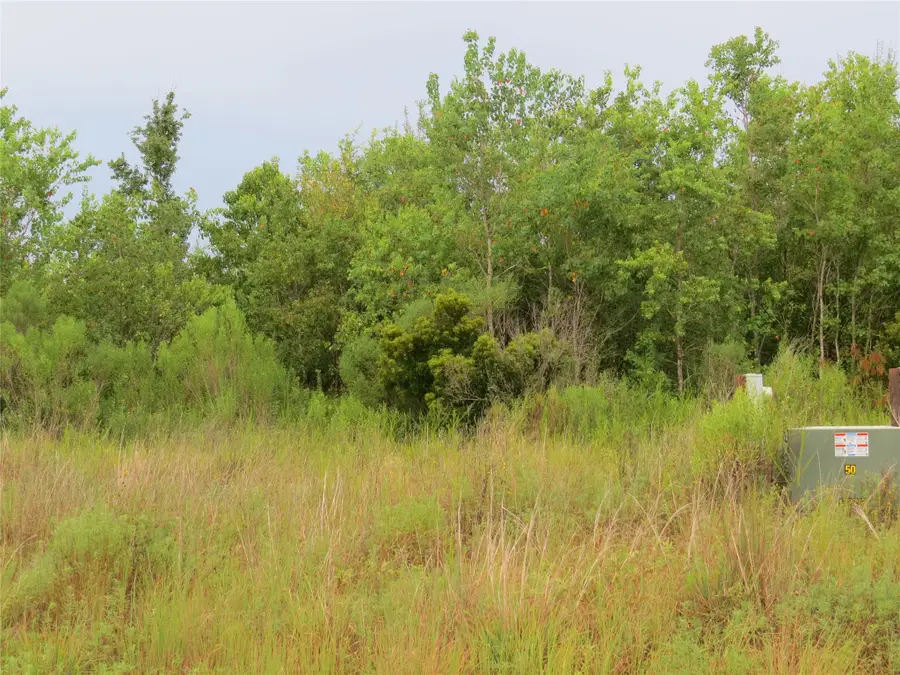 517 Road 5704, Cleveland, TX 77327 - #3