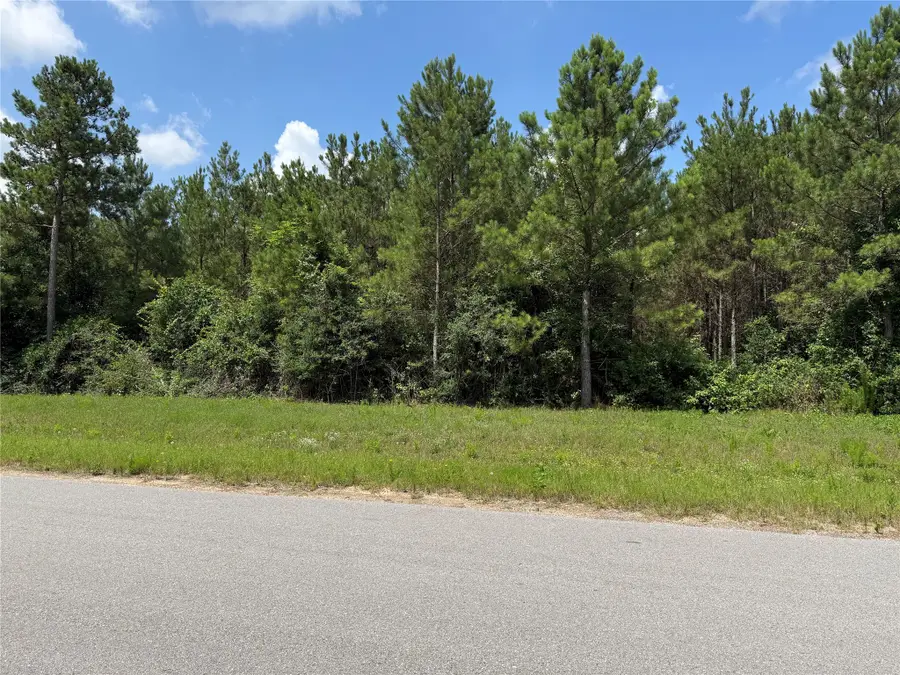 15751 Wood Grove Way, Willis, TX 77378 - #3
