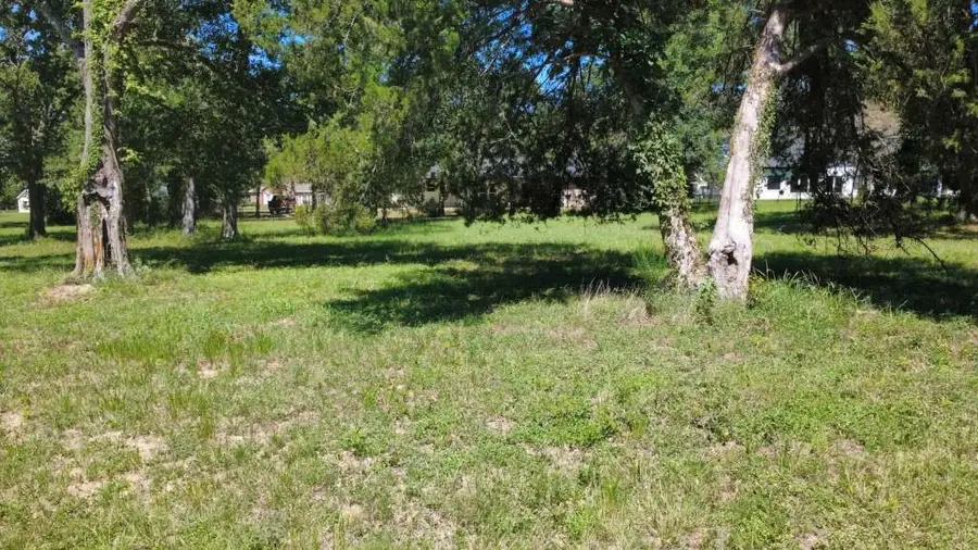 Lot 64 Birdie Drive, Hempstead, TX 77445 - Image #2