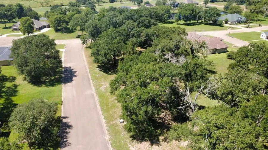 Lot 64 Birdie Drive, Hempstead, TX 77445 - Image #3