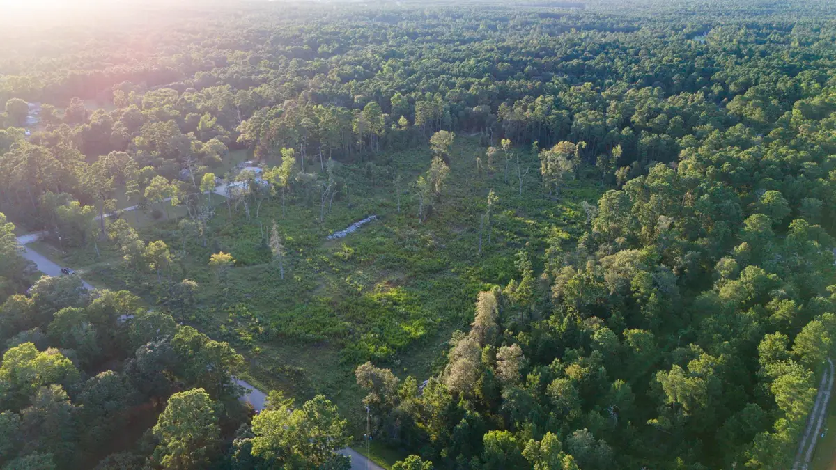 24340 & 24350 Weeren Road, Montgomery, TX 77316 - #1