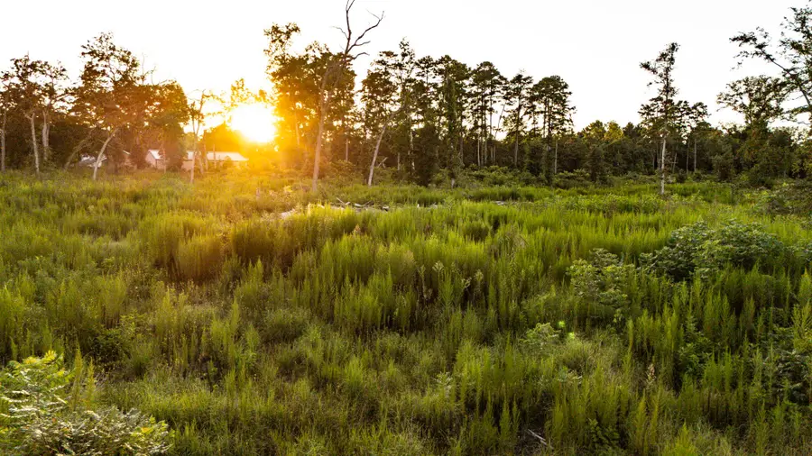 24340 & 24350 Weeren Road, Montgomery, TX 77316 - #2