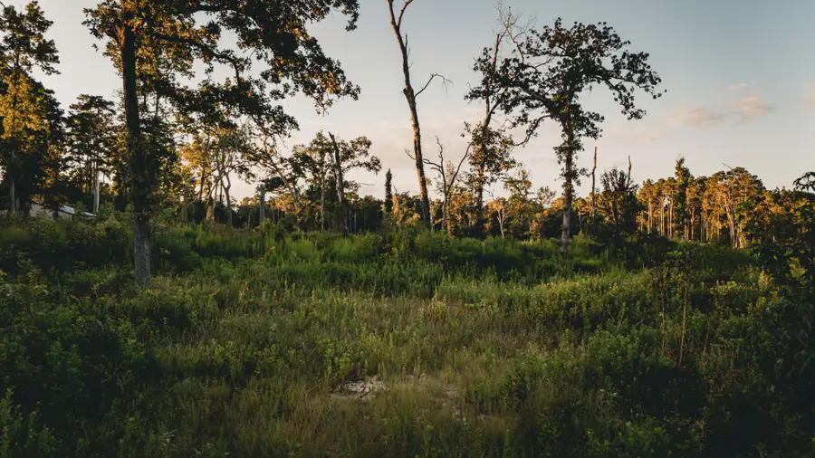 24340 & 24350 Weeren Road, Montgomery, TX 77316 - #3