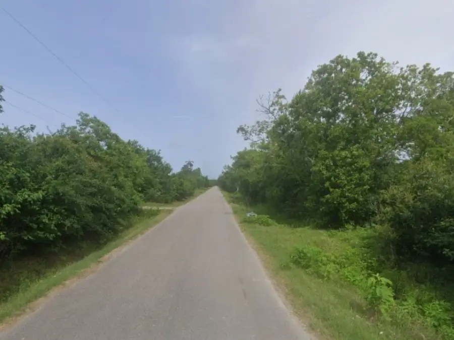 7550 Hacker Road, Hitchcock, TX 77563 - #2