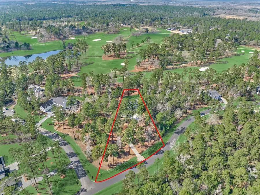 4443 Lily Bean Road, Montgomery, TX 77316 - #3