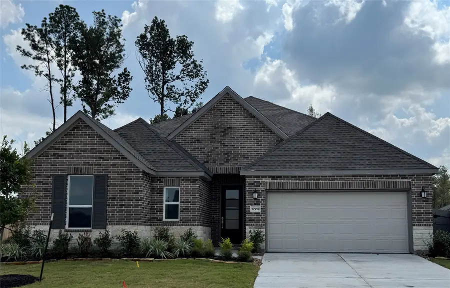 15016 Goujon Gates Drive, Conroe, TX 77302 - #2