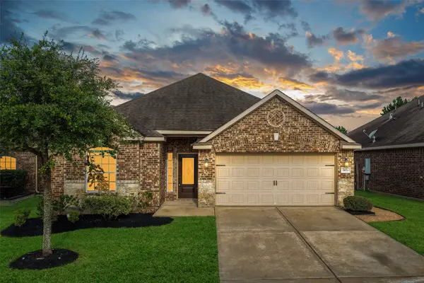 20331 Penny Blume Drive, Hockley, TX 77447