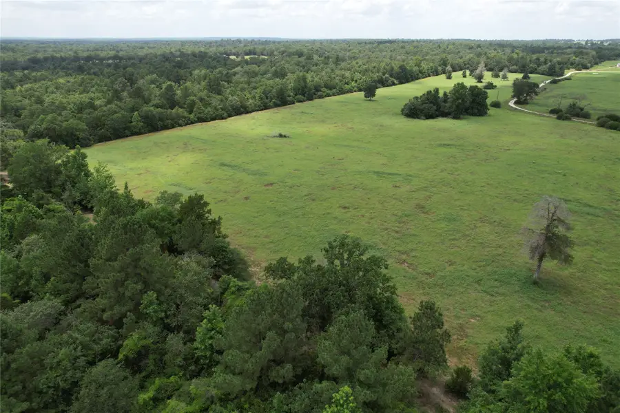 000 Private Road 1310, Centerville, TX 75833 - Image #3