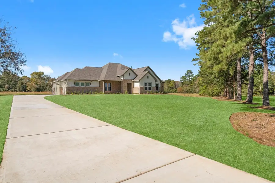 152 Homestead Hill Road, New Waverly, TX 77358 - #3